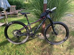 Scott scale contesa