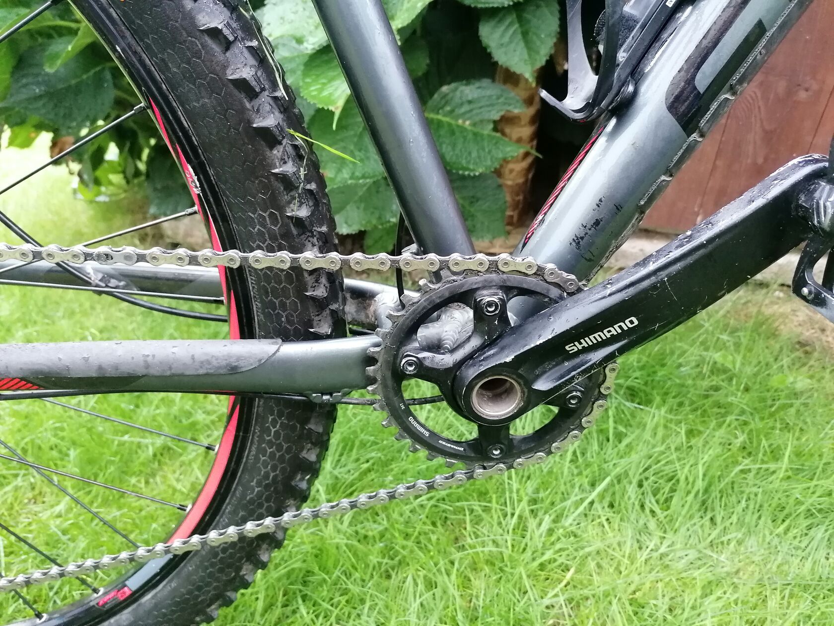 Focus Whistler SL 29 vel.XL za 20 900 Kč Cyklobazar.cz