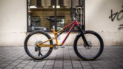 Rocky Mountain Instinct carbon custom