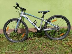 Autor Ultrasonic 24"