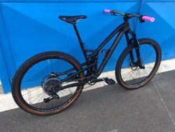 Propain Hugene CF 29"