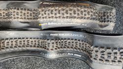 Continental MountainKing 2.2 + Specialized Eliminator 2.3