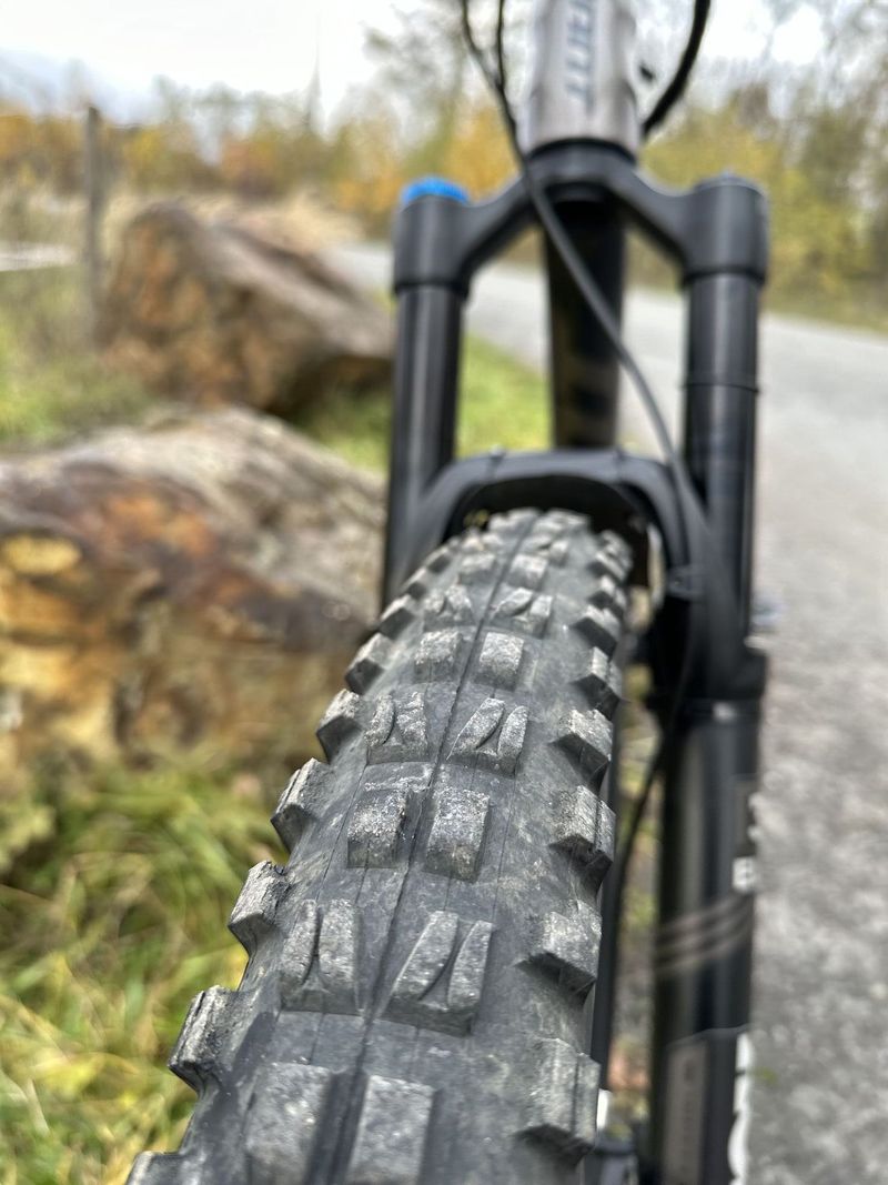 Giant Reign 29 1, vel. L - nový rám 2023