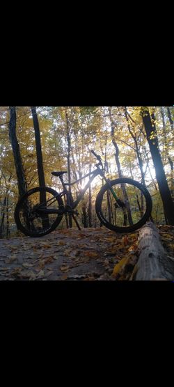 Scott Spark 970