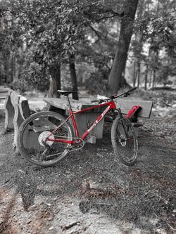 Superior 969 (Red)