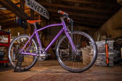 Suveren Bikes nové - více druhů uvnitř!