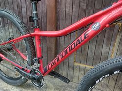 Cannondale Tango 5