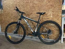 CTM Rein 3.0 29 2019