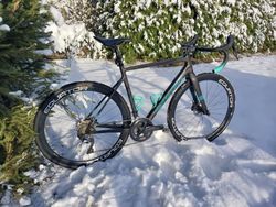 Santa Cruz stigmata 