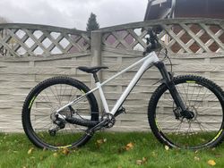 Rockrider AM100