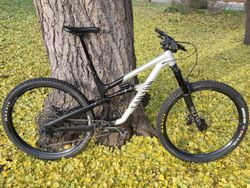 Canyon SPECTRAL 29 AL 6