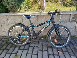 Superior Paint 20"