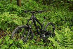 YT Capra new frame