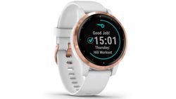 Koupím Garmin Vivoactive 4s