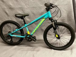 Cannondale Trail 20"
