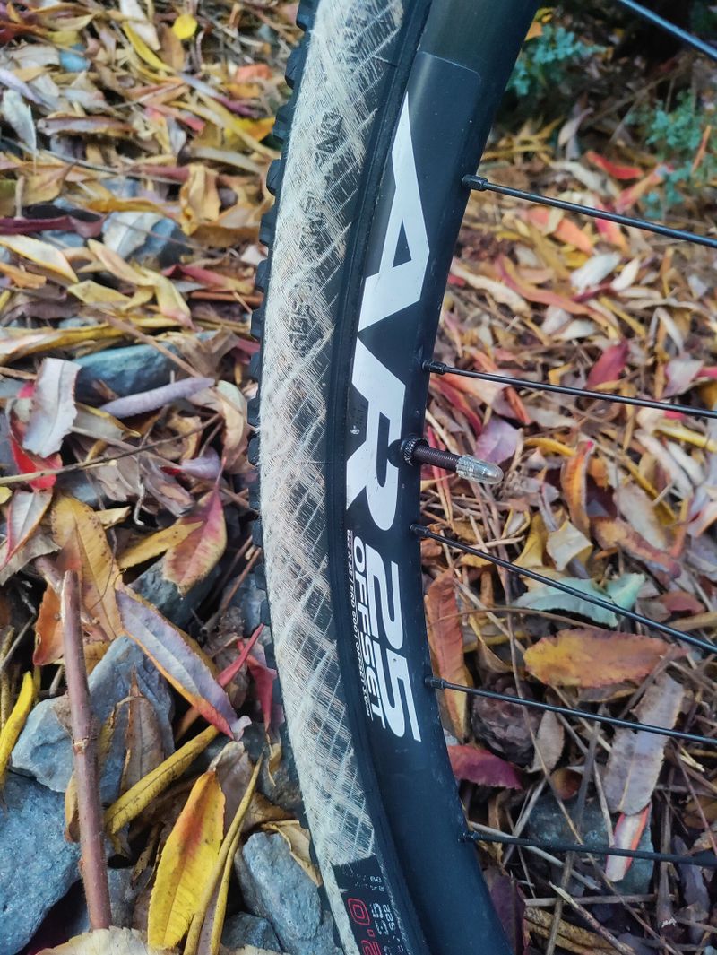 Canyon Exceed CF 5