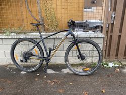 Scott aspect 910(2020)