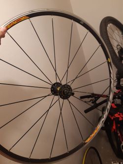 Mavic Aksium Race