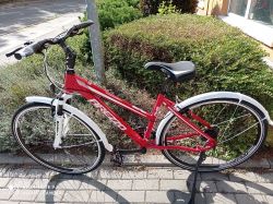 Arezzo Awis + SLEVA 25%