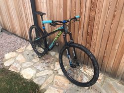 Dartmoor Primal 29'