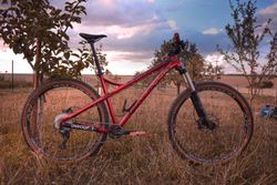 Dartmoor Primal 29