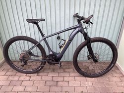 Specialized Levo HT comp, velikost L, test e-bike, model 2020