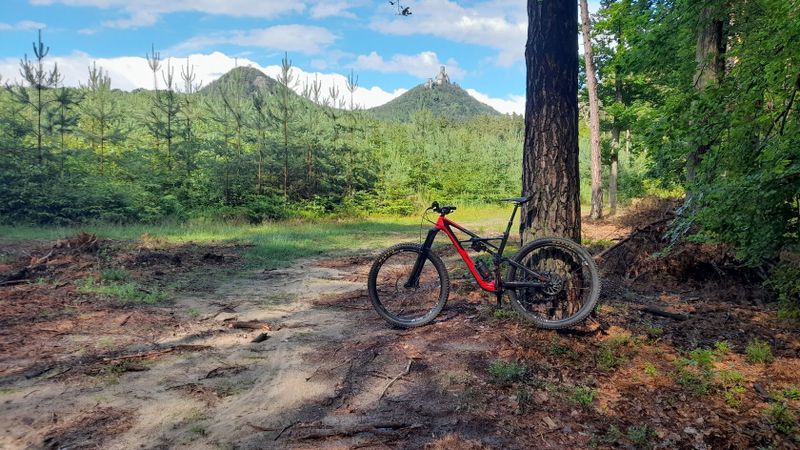 Prodám Specialized Enduro 29