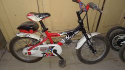 Bottecchia 440