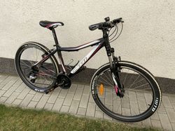 Dámské kolo CTM Charisma 1.0 S 26”