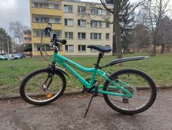 Dětské horské kolo LEADER Fox Jumper 20"