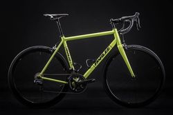 Parlee