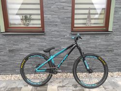 CTM DIRTKING EXPERT 2021