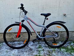 (17)Dámské/Dívčí horské kolo Author 29" Kotoučové brzdy