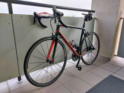 Haibike