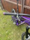 Nukeproof Mega 297C Limited Edition FAST