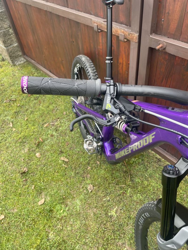 Nukeproof Mega 297C Limited Edition FAST
