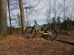 Trek Fuel EX 5 2022