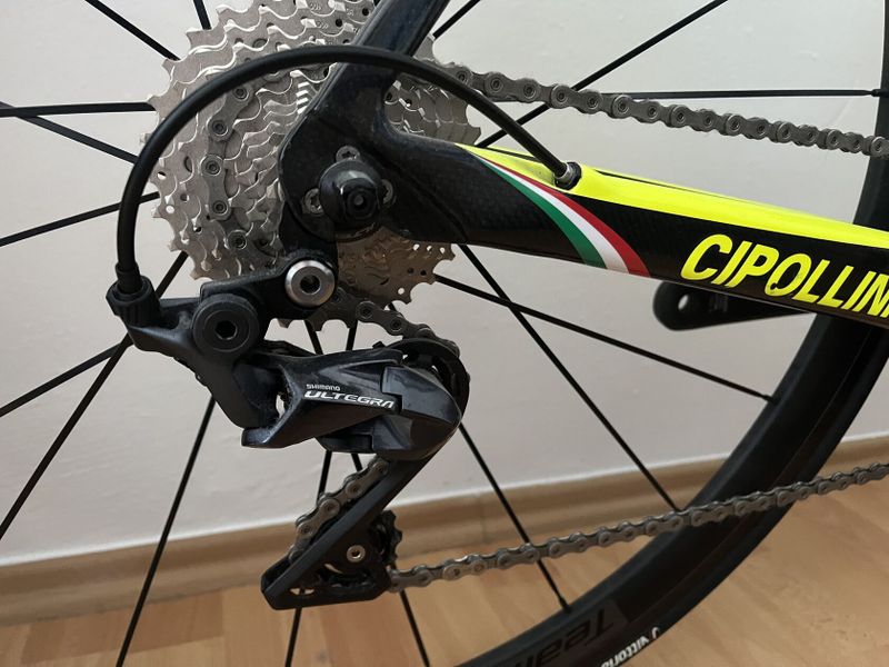 Cipollini Bond 58cm