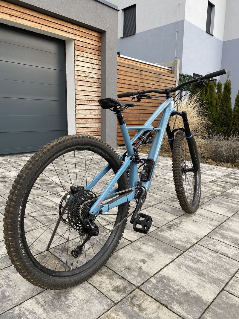 SPECIALIZED ENDURO 2019