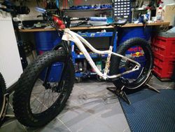 Fatbike Sarma Foka V1