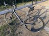 GIANT TCR 2021