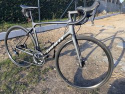 GIANT TCR 2021