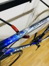 Colnago C40 Carbon Art Decor