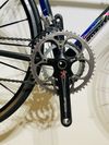 Colnago C40 Carbon Art Decor