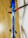 Colnago C40 Carbon Art Decor