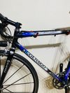 Colnago C40 Carbon Art Decor