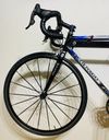 Colnago C40 Carbon Art Decor