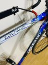 Colnago C40 Carbon Art Decor
