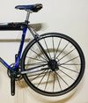 Colnago C40 Carbon Art Decor