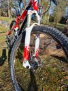 Specialized Epic expert carbon